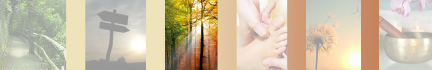 Viadukt Pflege Ursula Frese