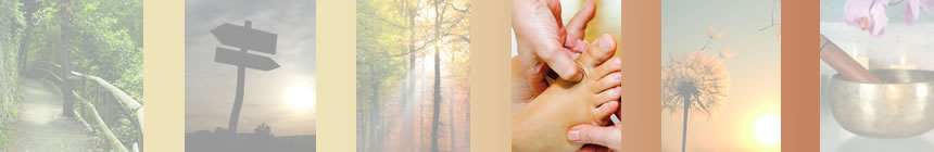 Viadukt Pflege Aktuelles