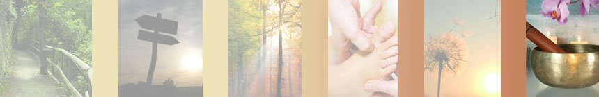 Viadukt Pflege Impressum